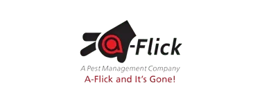 A Flick Logo