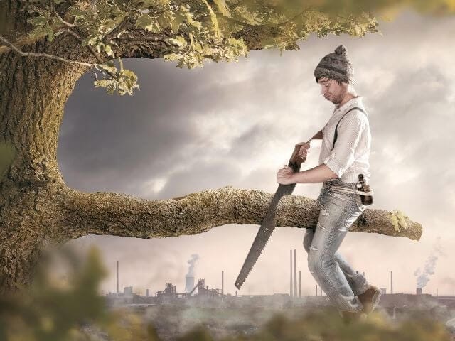 Sawing off the branch you are sitting on