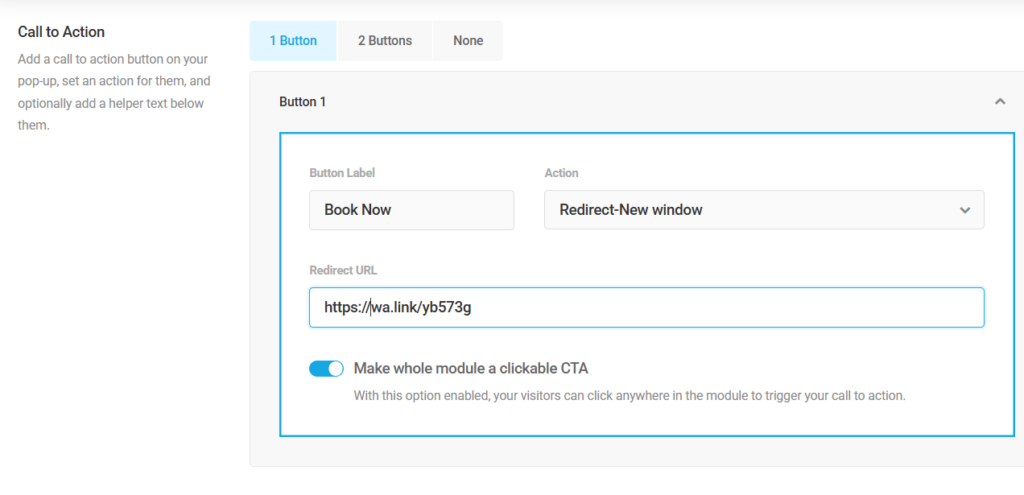 screenshot of CTA setting in Hustle pop-up